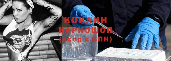 прущие грибы Абаза