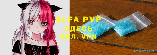 прущие грибы Абаза