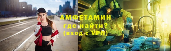 прущие грибы Абаза