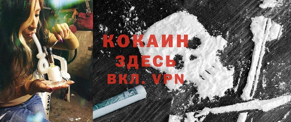 прущие грибы Абаза