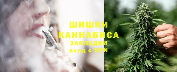 прущие грибы Абаза