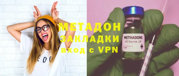 прущие грибы Абаза
