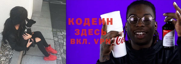 прущие грибы Абаза