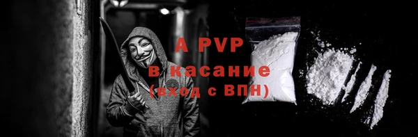 прущие грибы Абаза