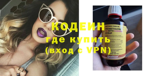 прущие грибы Абаза