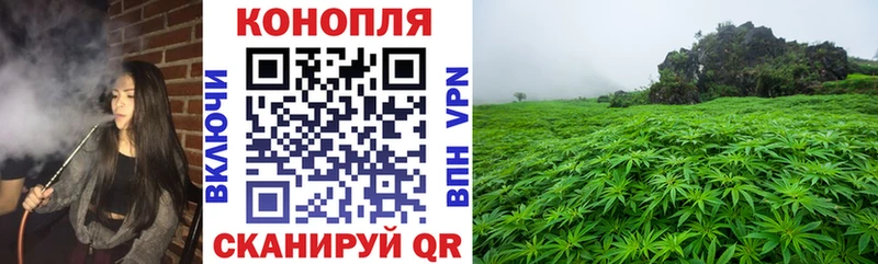 Бошки Шишки ГИДРОПОН  Красный Сулин 